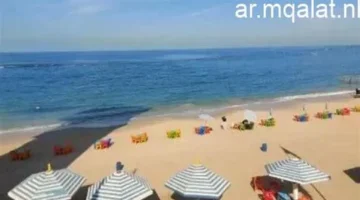 تحذير رسمي.. الأرصاد الجوية توضح حقيقة تعرض المنطقة لموجة برد قادمة